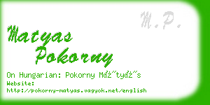 matyas pokorny business card